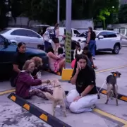 Terremotos en Venezuela: rescatistas logran salvar al menos a 20 mascotas de los escombros