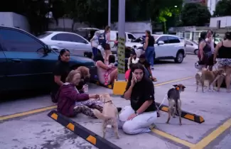 Terremotos en Venezuela: rescatistas logran salvar al menos a 20 mascotas de los escombros