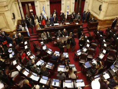 senado