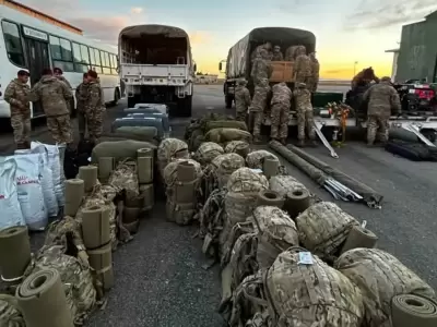 ayuda y perros rescatistas armada