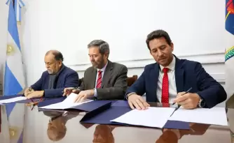 diplomatura