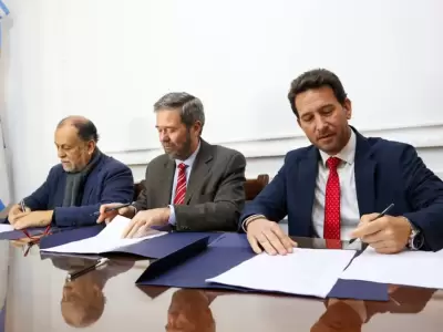 diplomatura