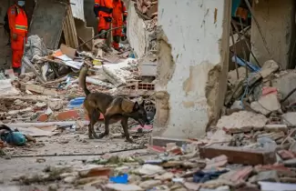 rambo perro rescatista del salvador en venezuela