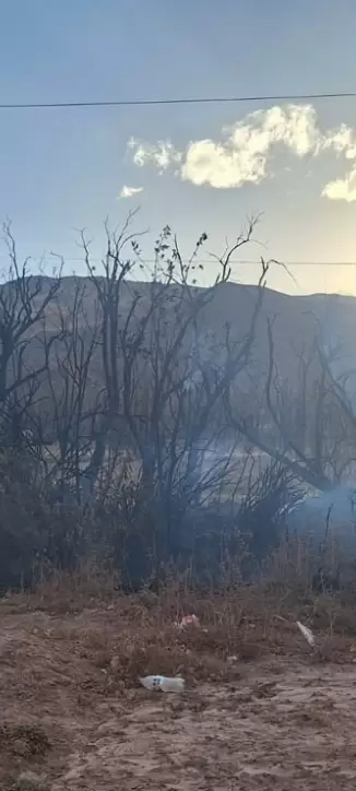Incendio en El Perchel