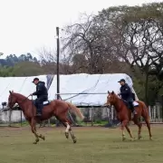 equinos policia de jujuy