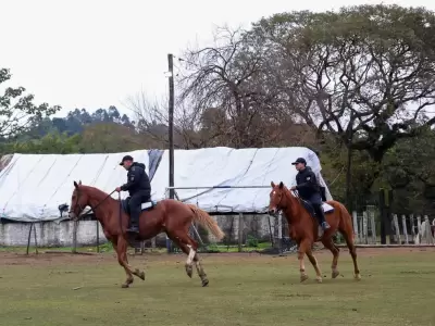 equinos policia de jujuy