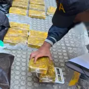 coca�na colectivo jujuy