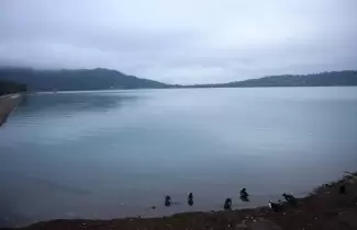 dique la cienaga