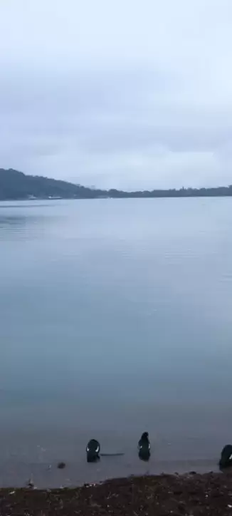 dique la cienaga