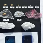 Operativos contra el narcotr�fico