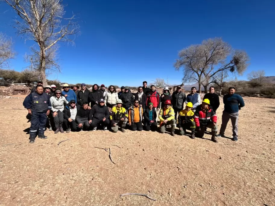 El MPA participó del histórico operativo de rescate de vicuñas en la puna jujeña e imputó al dueño del criadero por presunto maltrato animal
