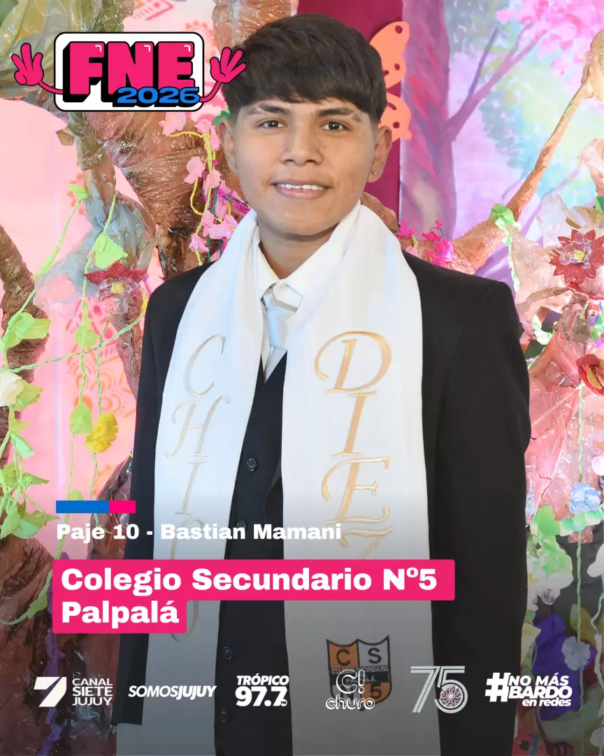 fne 2026 secundario nº5 palpalá