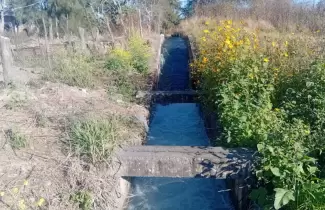 canal de riego en Perico