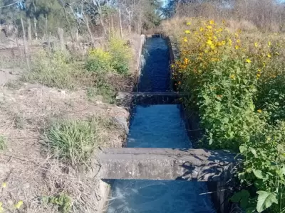 canal de riego en Perico