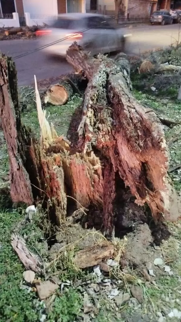 Temporal de viento
