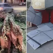 Las fuertes ráfagas de viento provocaron caída de árboles, voladura de techos y cortes de luz en Jujuy