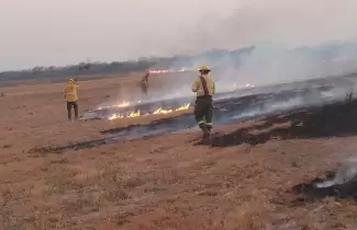 incendios forestales jujuy