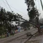El Zonda no da tregua en Jujuy: EJESA mantiene el despliegue para garantizar el servicio antes del domingo