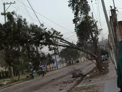 El Zonda no da tregua en Jujuy: EJESA mantiene el despliegue para garantizar el servicio antes del domingo