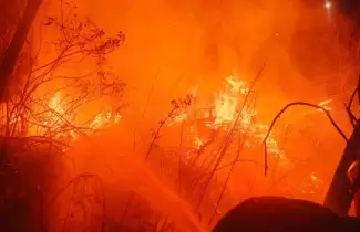 incendios forestales