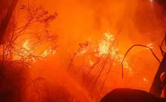 incendios forestales