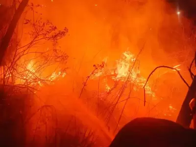 incendios forestales