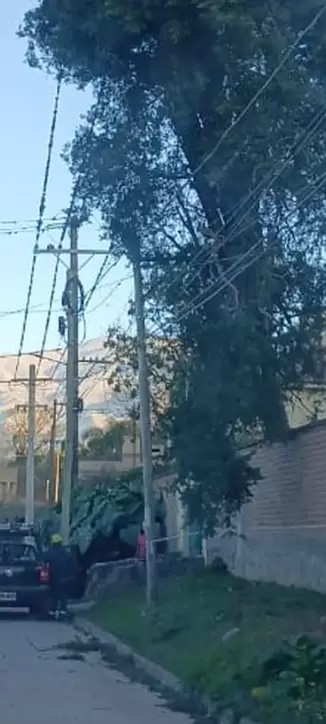 Trabajos de recuperaci�n del sistema de EJESA