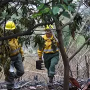 Durante el fin de semana se registraron múltiples incendios de interfase: Palpalá fue la zona más afectada