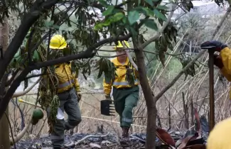 incendio de interfase