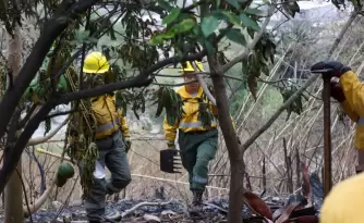 incendio de interfase