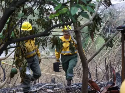 incendio de interfase