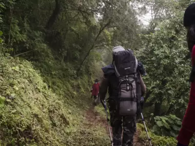 GUIAS TURISMO