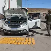 Cayó una banda narco que operaba entre Jujuy y Salta: secuestraron más de 60 kilos de cocaína y hay siete detenidos