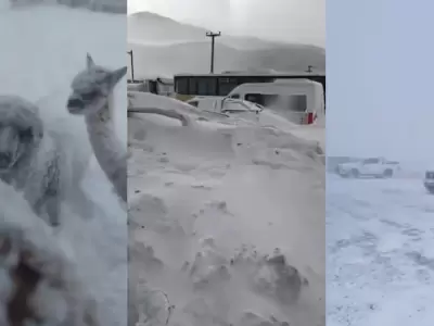 temporal en catamarca
