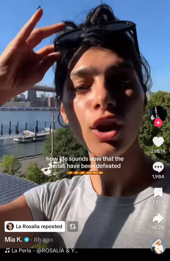 Mia Khalifa menospreciando a la Argentina y el reposteo de La Rosalía
