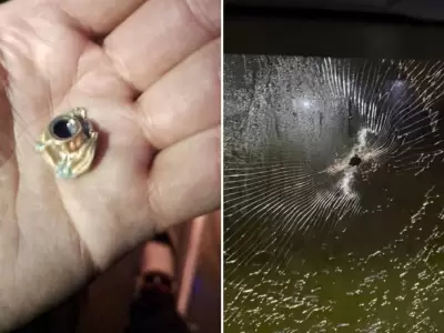 Balearon un micro con hinchas de Tigre y hay una persona que result� herida