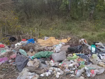 Saneamiento de paisajes