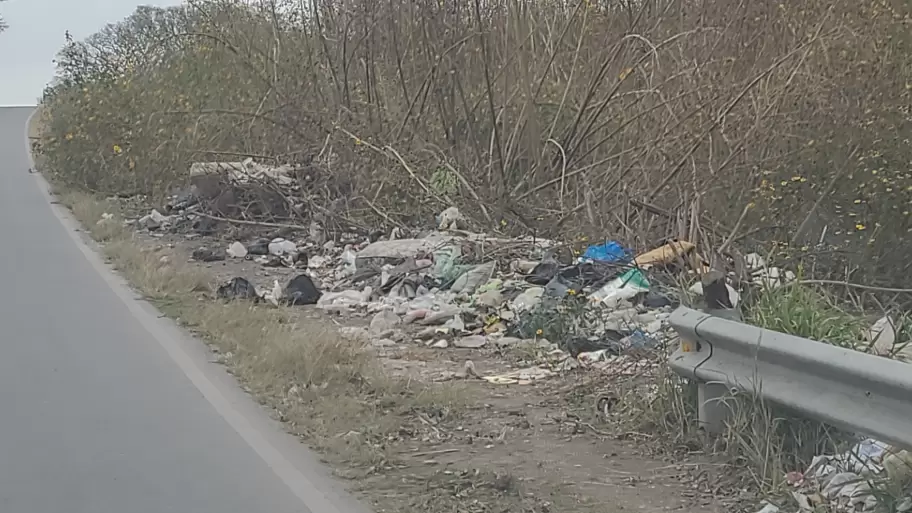 Saneamiento de paisajes