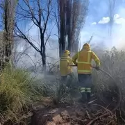 Vecinos de Volcán relataron cómo comenzó el incendio que consumió campos y pastizales