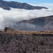 incendios forestales volc�n y barcena