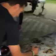 Lionel Scaloni sorprendió al firmar un auto con las caras de la Scaloneta y el video se volvió viral
