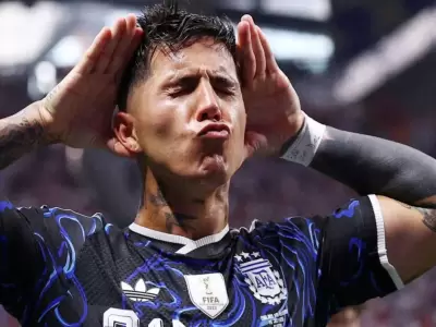 enzo fernandez