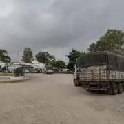 imagen camionero en palpal�
