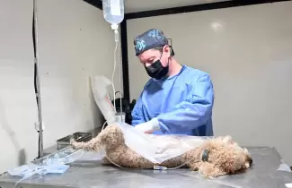 El quir�fano m�vil de Zoonosis recorrer� distintos barrios de San Salvador de Jujuy con jornadas gratuitas de castraci�n