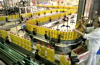 F�brica de Aceite