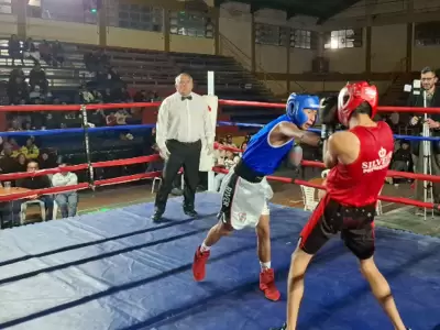 boxeo